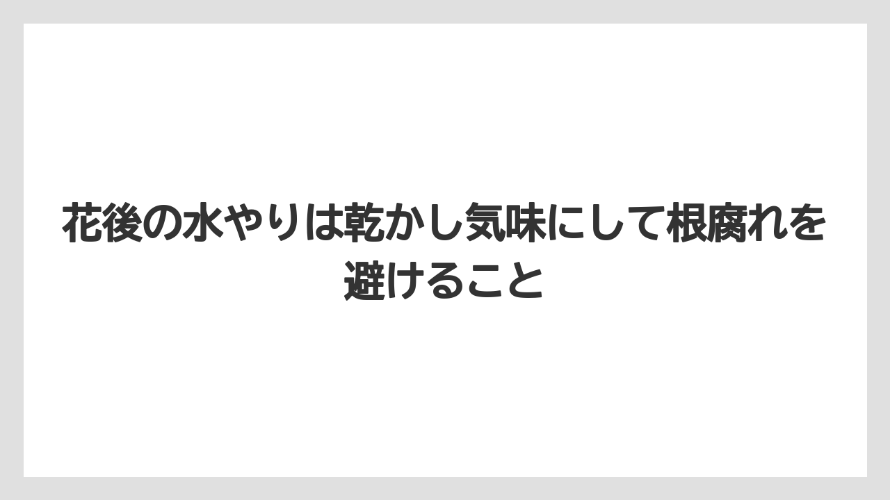 【サボテン】【栽培】【農業】花後の水やりは乾かし気味にして根腐れを避けること