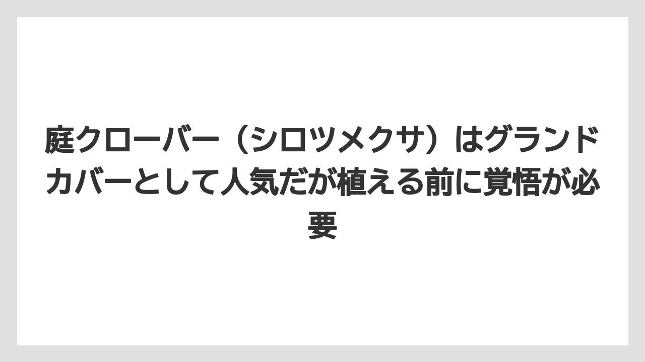 【栽培】【農園】【農業】庭クローバー(シロツメクサ)はグランドカバーとして人気だが植える前に覚悟が必要