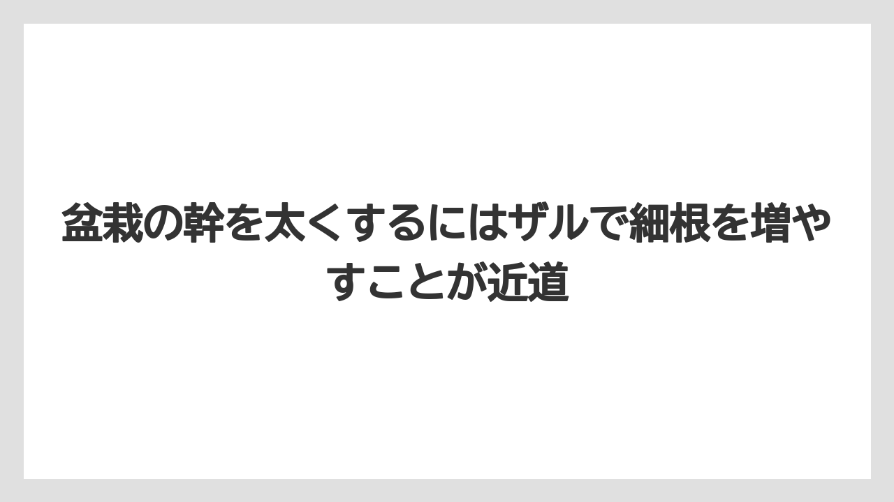 【100均】【もみじ】【ゼオライト】【バラ】【栽培】盆栽の幹を太くするにはザルで細根を増やすことが近道