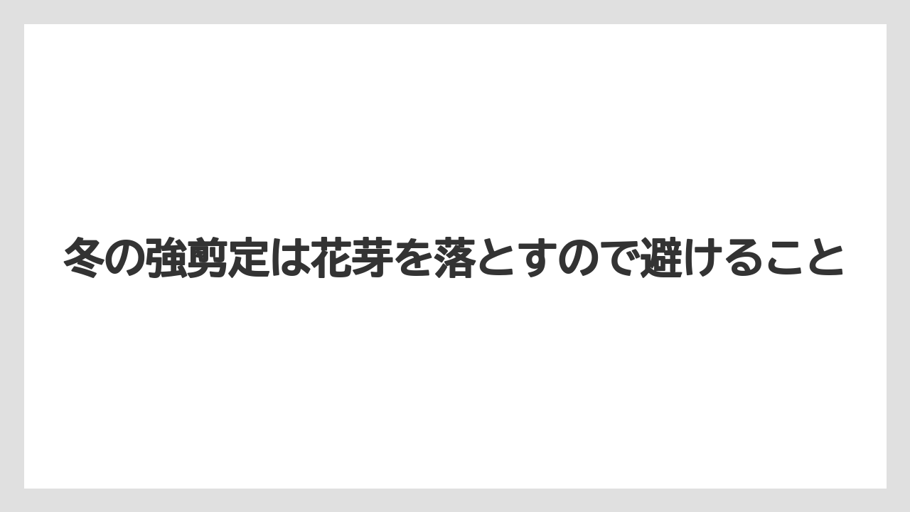 【枯れ】【栽培】【越し】冬の強剪定は花芽を落とすので避けること