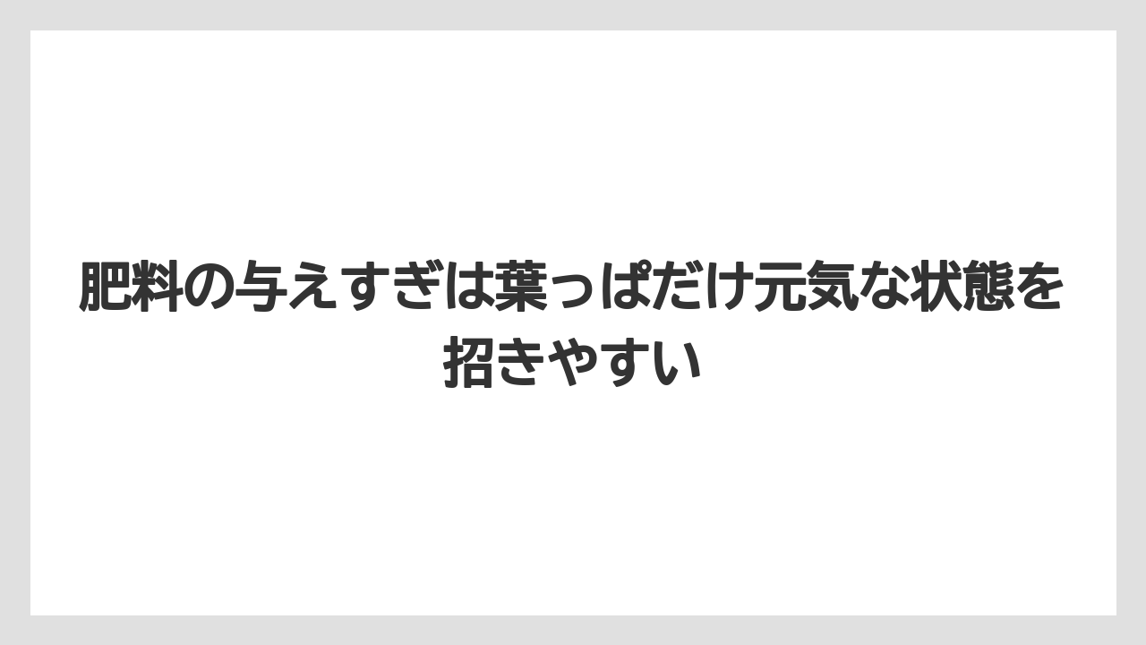 【栽培】【育て方】【花】【葉】肥料の与えすぎは葉っぱだけ元気な状態を招きやすい