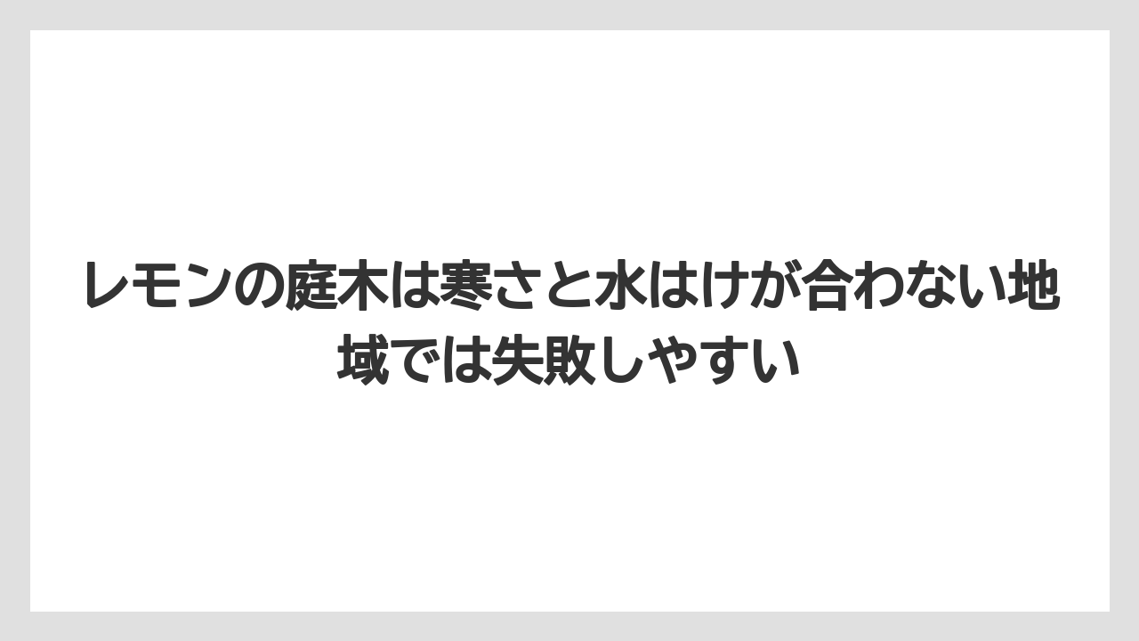 【レモン】【栽培】【農業】レモンの庭木は寒さと水はけが合わない地域では失敗しやすい