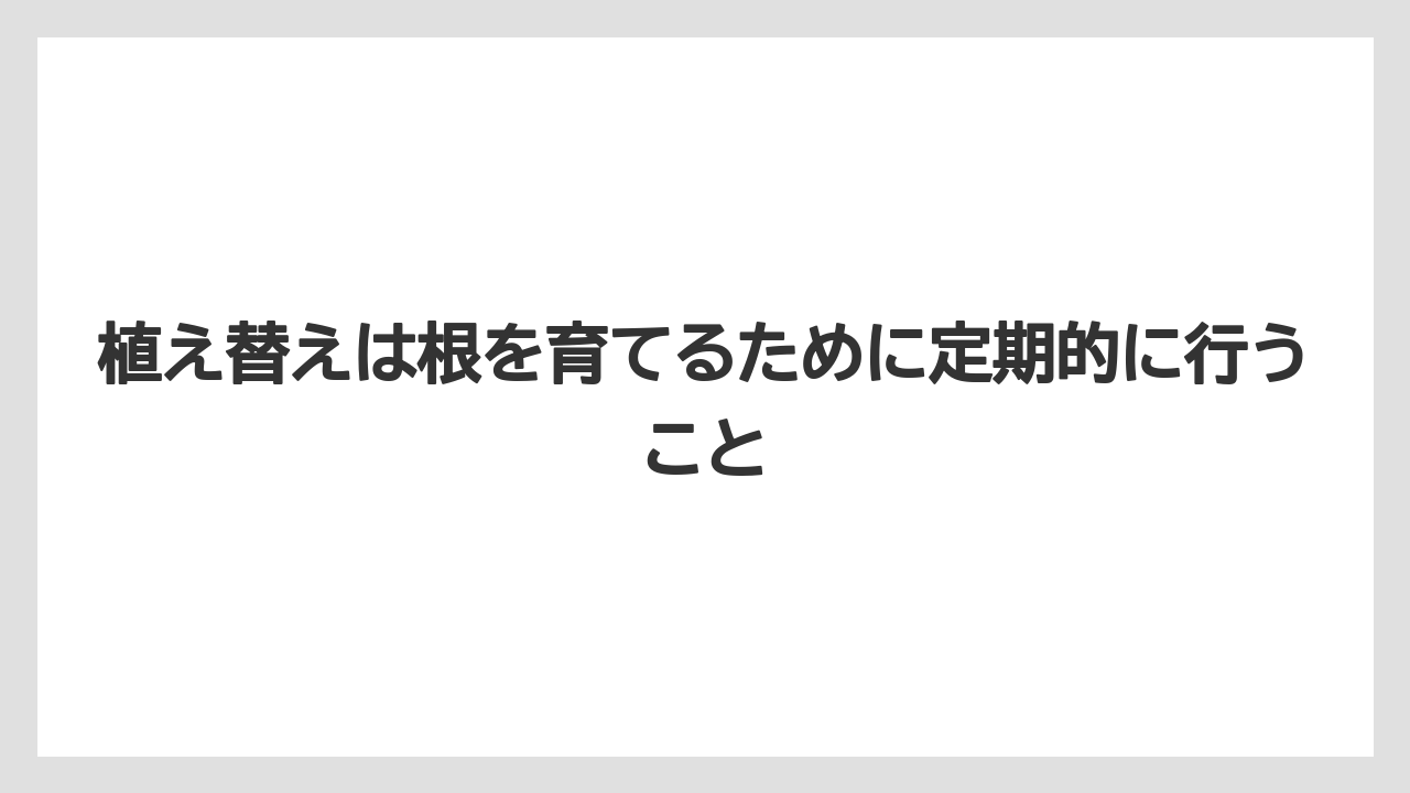 【パキラ】【栽培】【農業】植え替えは根を育てるために定期的に行うこと
