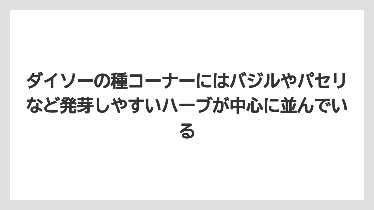 【レモン】【栽培】【農業】ダイソーの種コーナーにはバジルやパセリなど発芽しやすいハーブが中心に並んでいる
