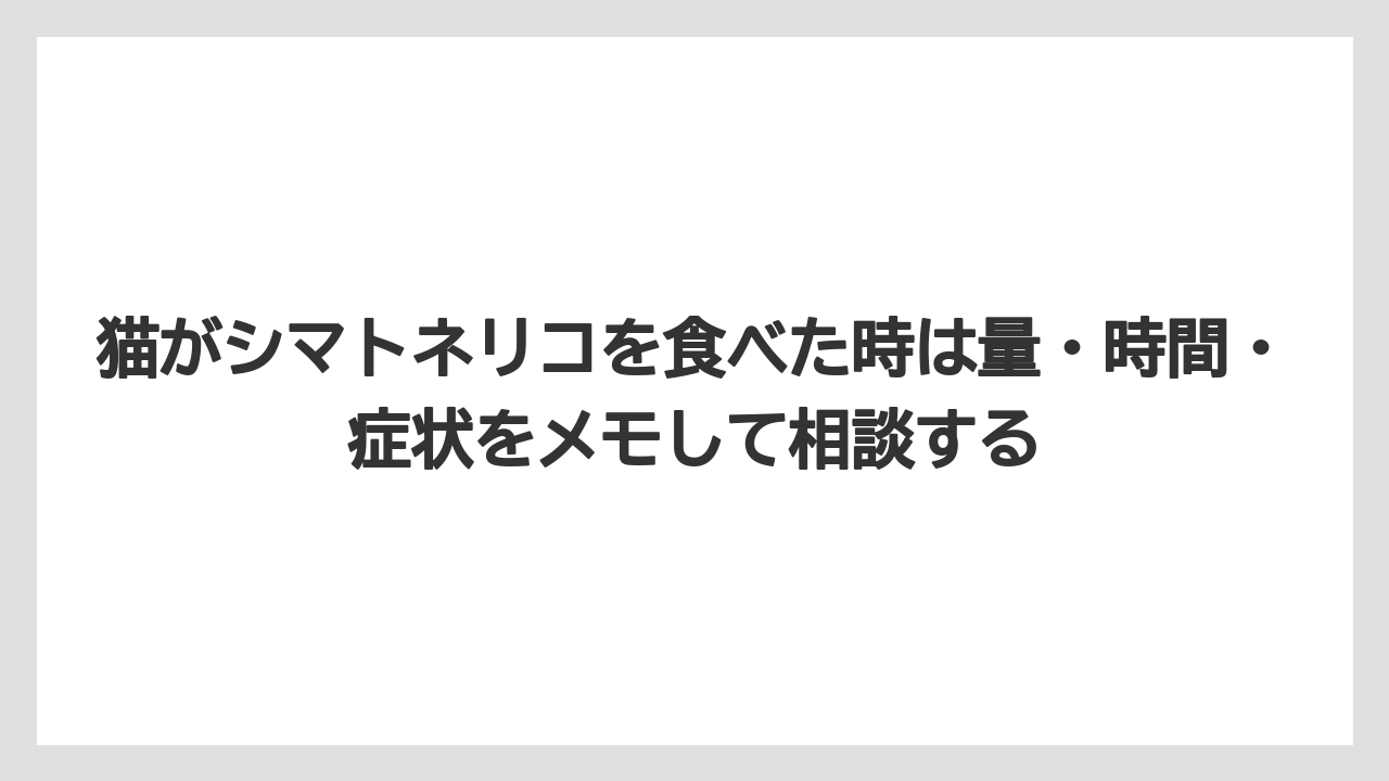 【しそ】【モンステラ】【栽培】【猫】【猫草】猫がシマトネリコを食べた時は量・時間・症状をメモして相談する