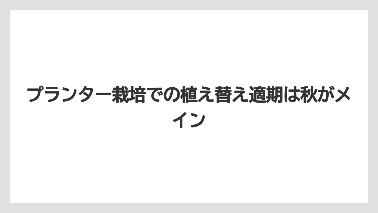 【栽培】【農園】【農業】プランター栽培での植え替え適期は秋がメイン
