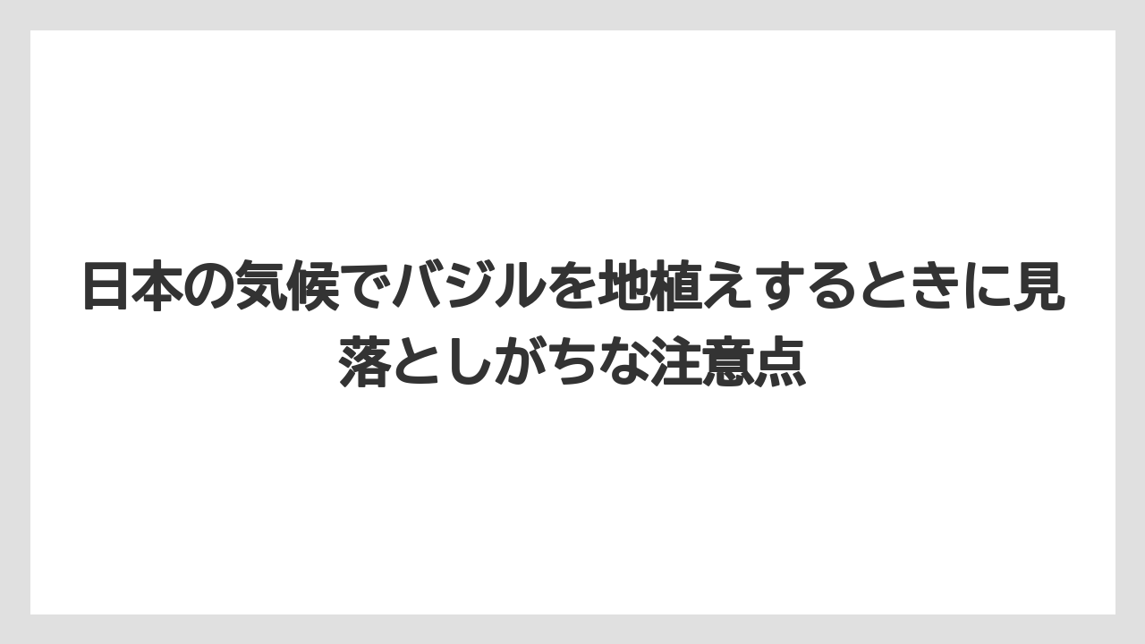 【いけない】【バジル】【後悔】【植え】【育て方】日本の気候でバジルを地植えするときに見落としがちな注意点
