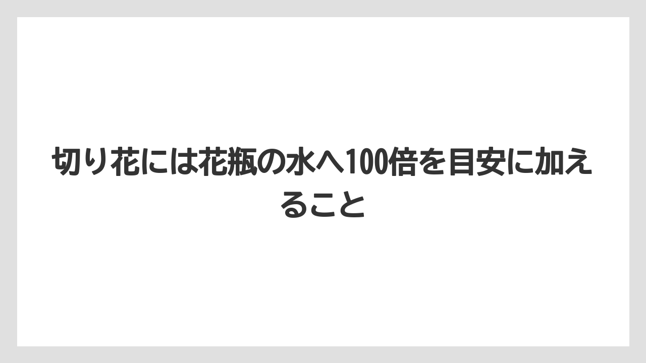 【メネデール】【栽培】【農業】切り花には花瓶の水へ100倍を目安に加えること
