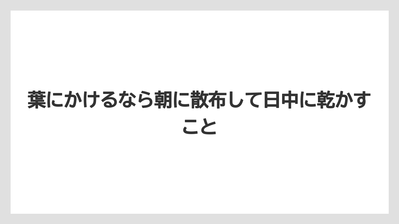 【栽培】【液体肥料】【肥料】葉にかけるなら朝に散布して日中に乾かすこと