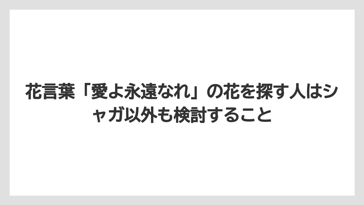 【栽培】【花】【葉】花言葉「愛よ永遠なれ」の花を探す人はシャガ以外も検討すること