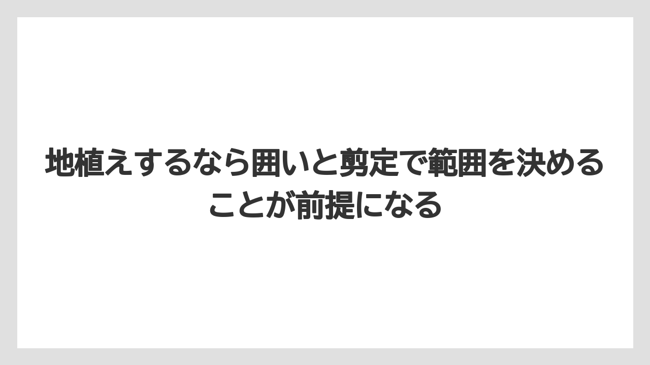 【いけない】【後悔】【栽培】【植え】地植えするなら囲いと剪定で範囲を決めることが前提になる
