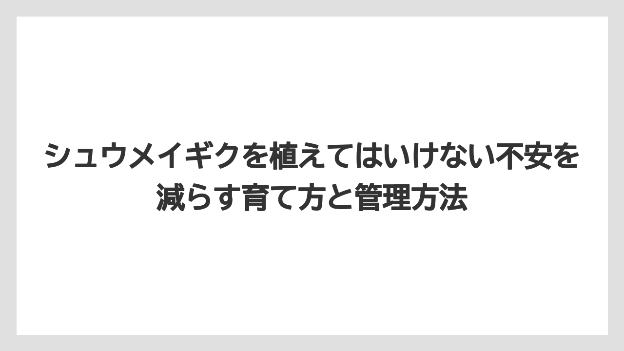 【栽培】【農園】【農業】シュウメイギクを植えない方がよい庭は管理頻度と安全面に不安がある庭