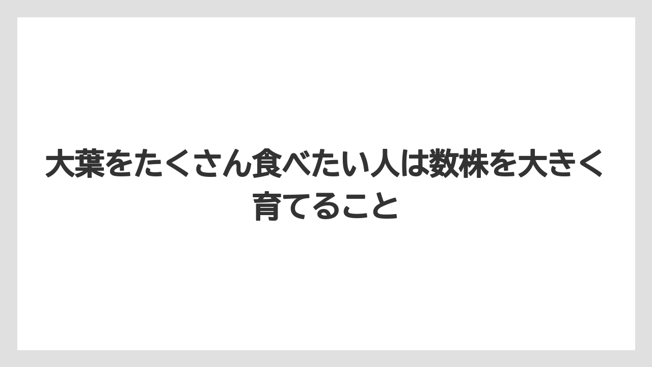 【いけない】【大葉】【庭】【栽培】【植え】大葉をたくさん食べたい人は数株を大きく育てること