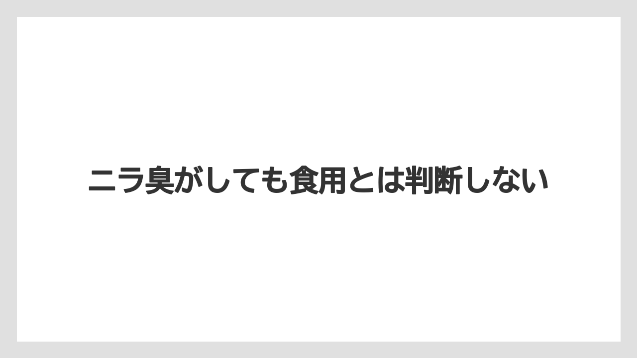 【ハナニラ】【栽培】【毒】ニラ臭がしても食用とは判断しない