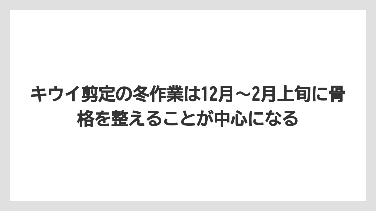 【バラ】【栽培】【農業】キウイ剪定の冬作業は12月〜2月上旬に骨格を整えることが中心になる