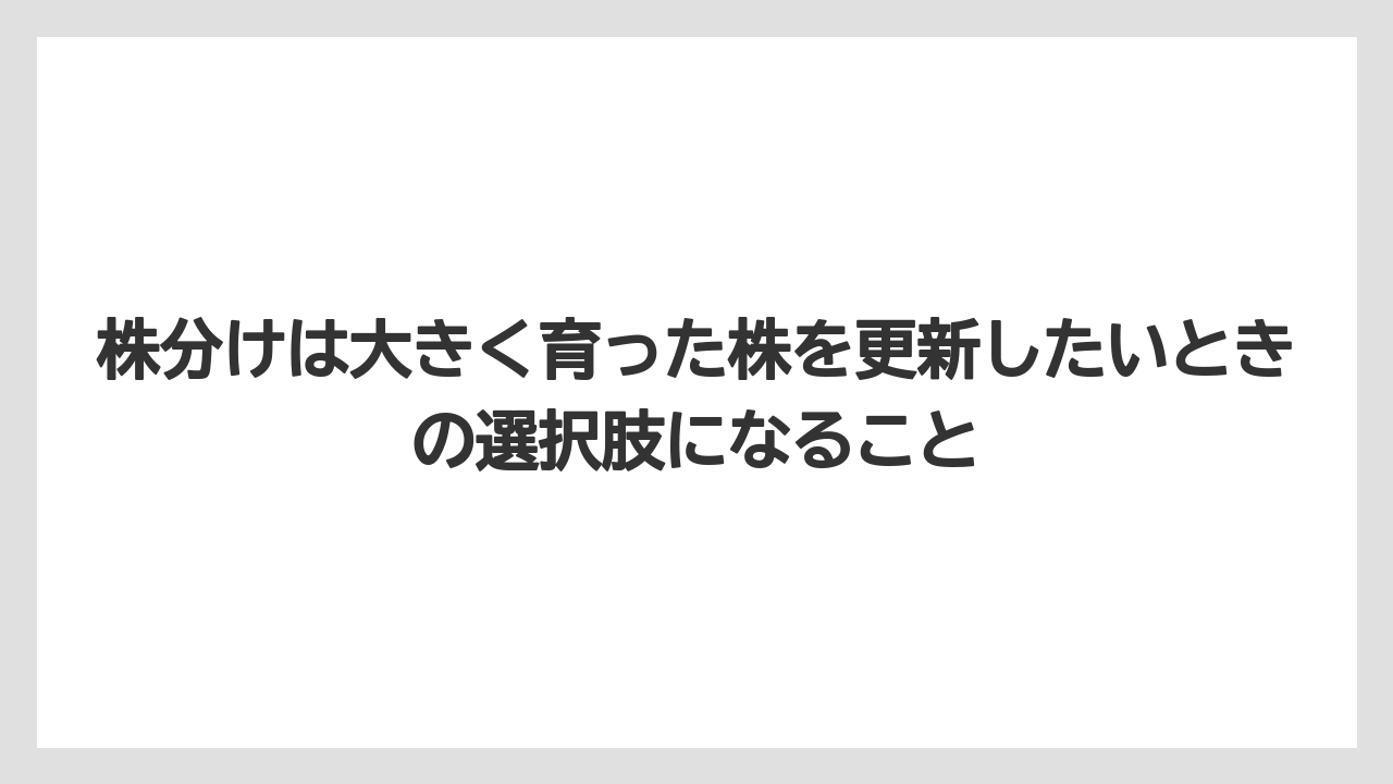 【栽培】【農園】【農業】株分けは大きく育った株を更新したいときの選択肢になること