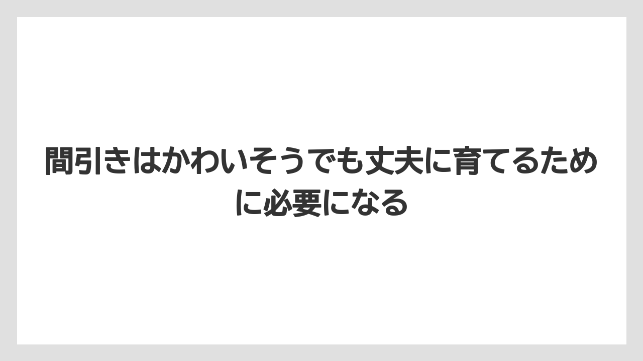 【栽培】【農園】【農業】間引きはかわいそうでも丈夫に育てるために必要になる