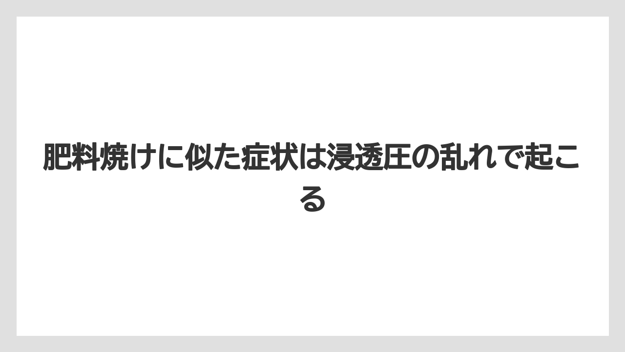 【ハイポネックス】【メネデール】【リキダス】【液体肥料】【肥料】肥料焼けに似た症状は浸透圧の乱れで起こる