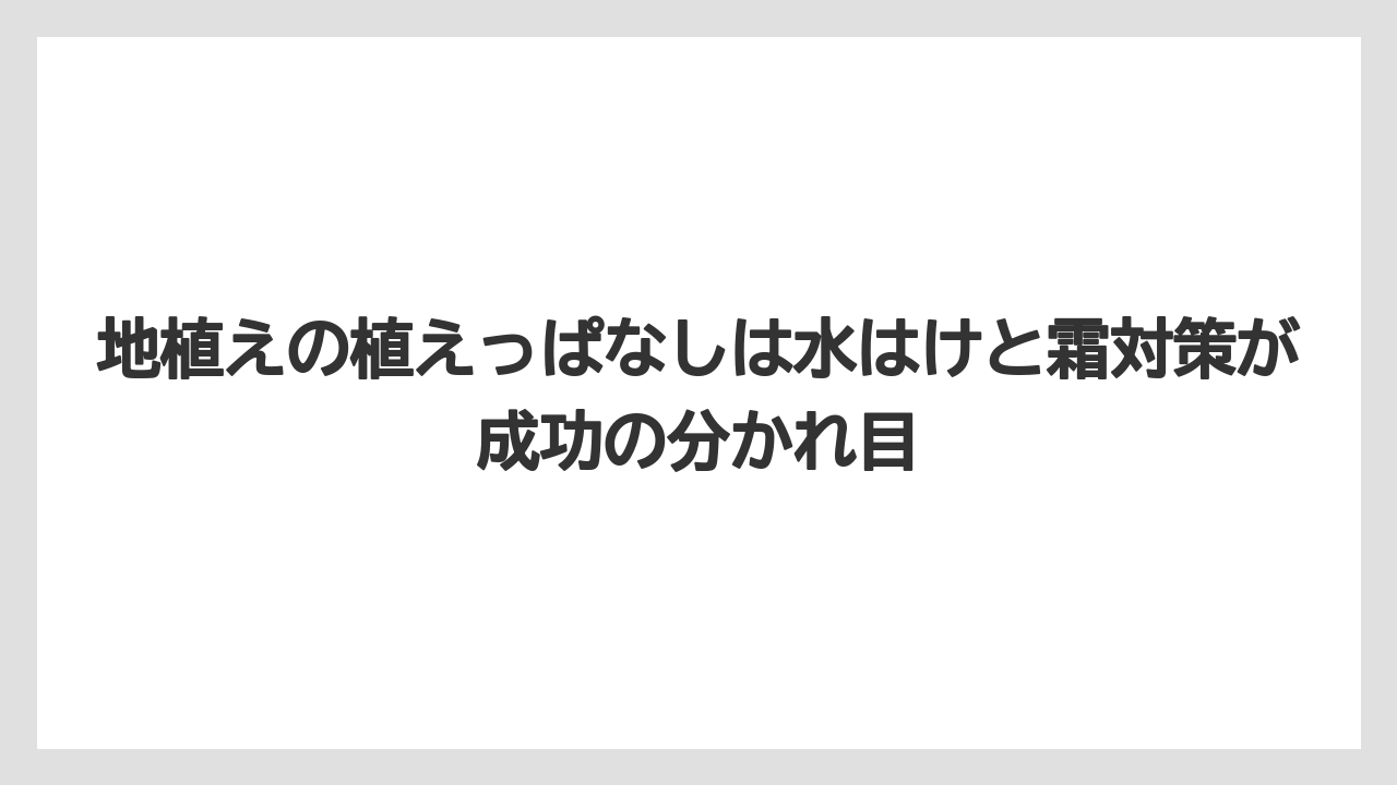 【栽培】【農園】【農業】地植えの植えっぱなしは水はけと霜対策が成功の分かれ目