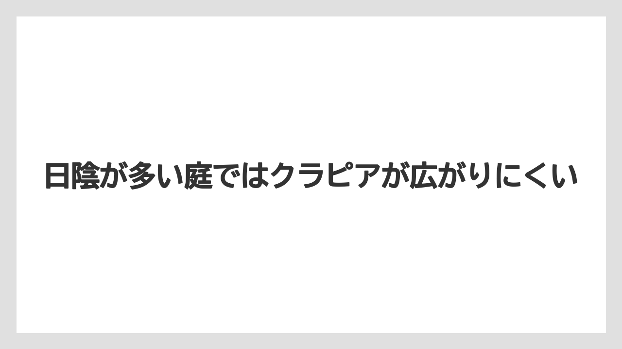 【バラ】【栽培】【農業】日陰が多い庭ではクラピアが広がりにくい