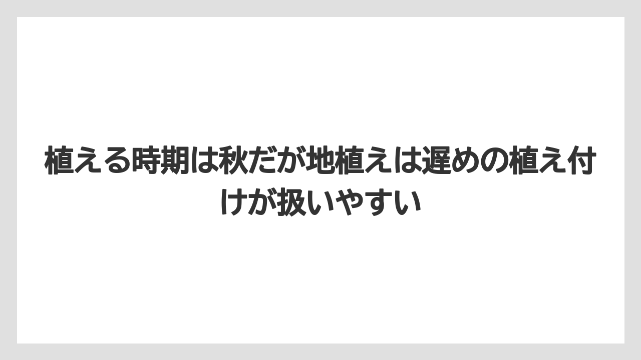 【栽培】【農園】【農業】植える時期は秋だが地植えは遅めの植え付けが扱いやすい