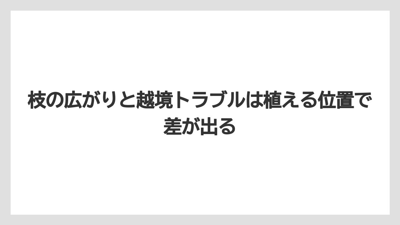 【栽培】【農園】【農業】枝の広がりと越境トラブルは植える位置で差が出る