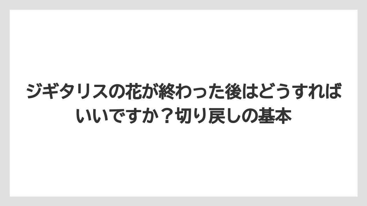 【栽培】【農園】【農業】ジギタリスの花が終わった後はどうすればいいですか?切り戻しの基本