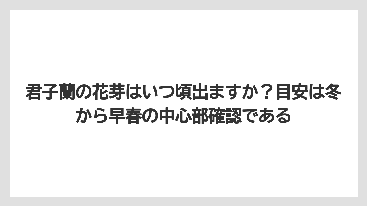 【栽培】【農園】【農業】君子蘭の花芽はいつ頃出ますか？目安は冬から早春の中心部確認である