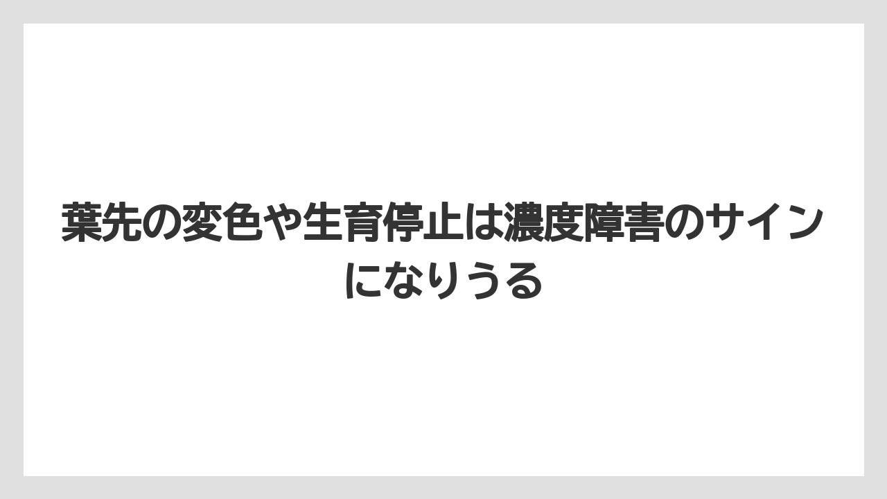 【ハイポネックス】【メネデール】【リキダス】【液体肥料】【肥料】葉先の変色や生育停止は濃度障害のサインになりうる