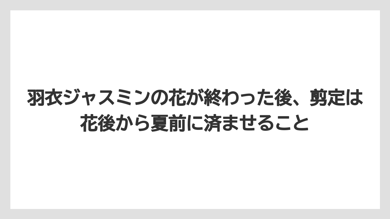 【枯れ】【栽培】【越し】羽衣ジャスミンの花が終わった後、剪定は花後から夏前に済ませること