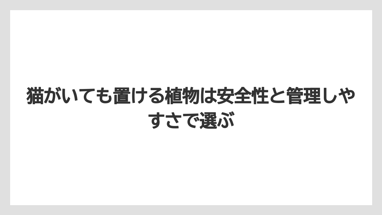 【しそ】【モンステラ】【栽培】【猫】【猫草】猫がいても置ける植物は安全性と管理しやすさで選ぶ