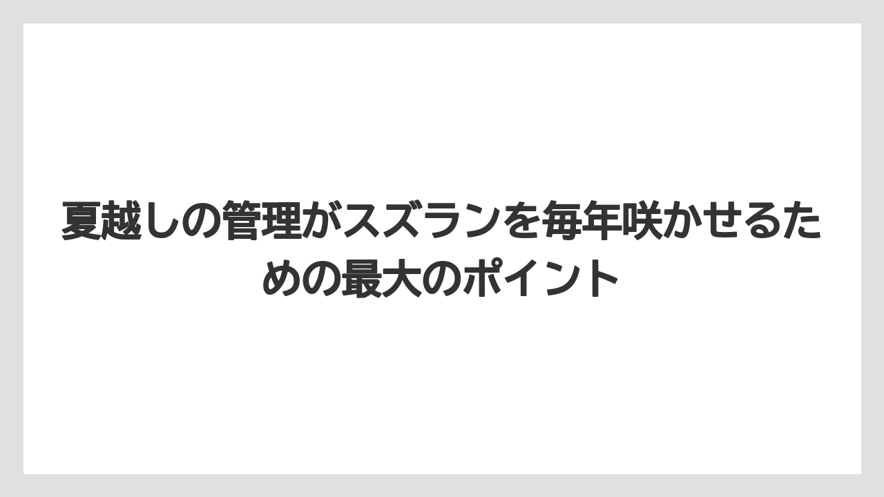 【栽培】【農園】【農業】夏越しの管理がスズランを毎年咲かせるための最大のポイント