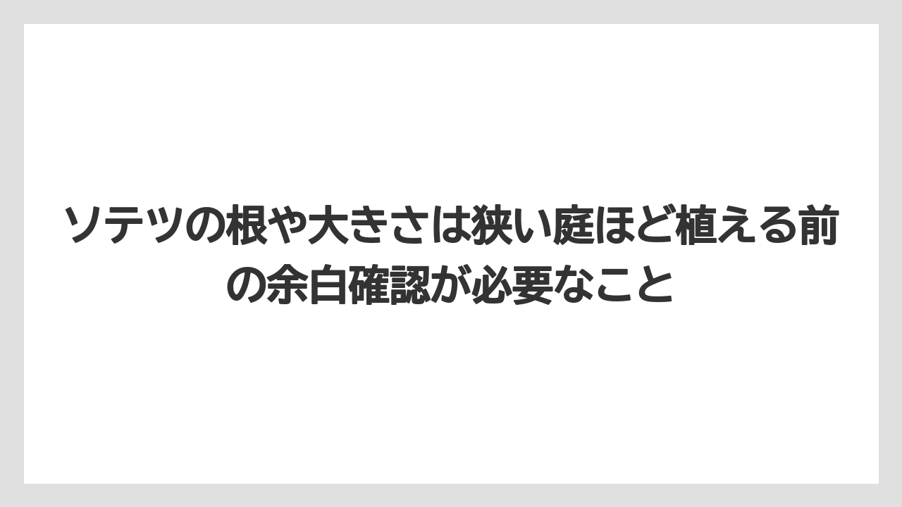 【アガベ】【バラ】【栽培】【猫】ソテツの根や大きさは狭い庭ほど植える前の余白確認が必要なこと