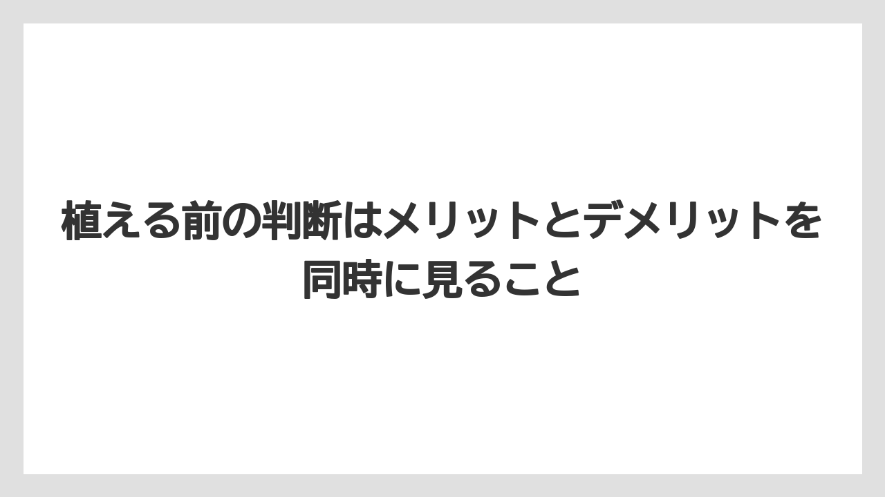 【レモン】【栽培】【農業】植える前の判断はメリットとデメリットを同時に見ること