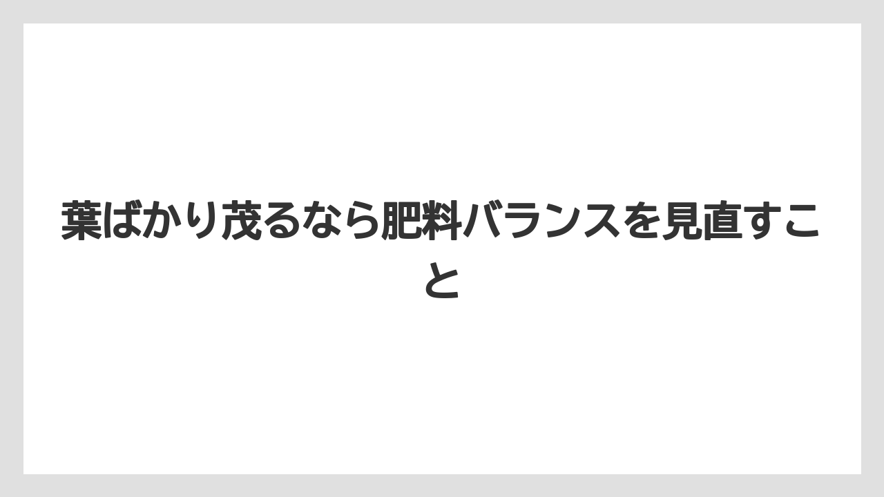 【ゴーヤ】【栽培】【花】葉ばかり茂るなら肥料バランスを見直すこと