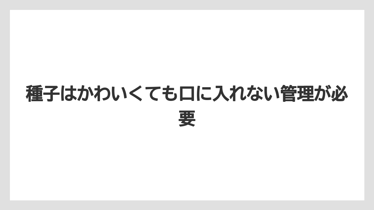 【栽培】【農園】【農業】種子はかわいくても口に入れない管理が必要