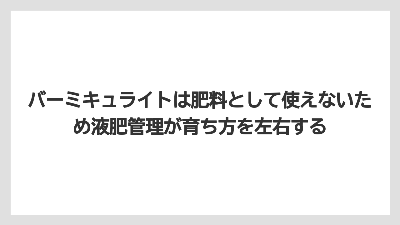 【100均】【しそ】【バーミキュライト】【栽培】【水耕栽培】バーミキュライトは肥料として使えないため液肥管理が育ち方を左右する