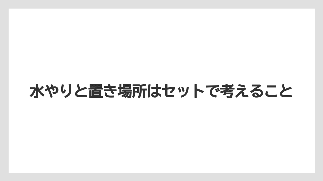 【栽培】【農園】【農業】水やりと置き場所はセットで考えること