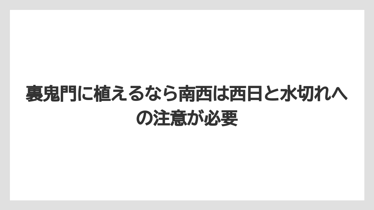 【栽培】【農園】【農業】裏鬼門に植えるなら南西は西日と水切れへの注意が必要