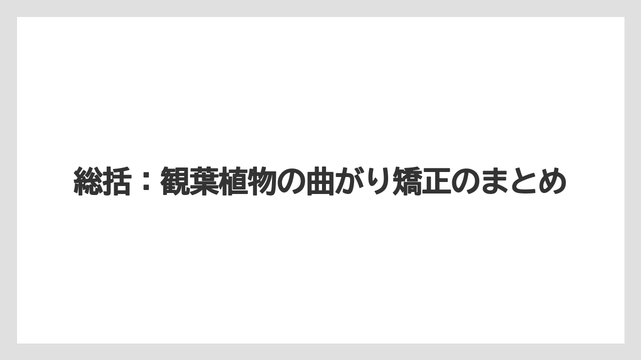 【栽培】【農園】【農業】総括:観葉植物の曲がり矯正のまとめ