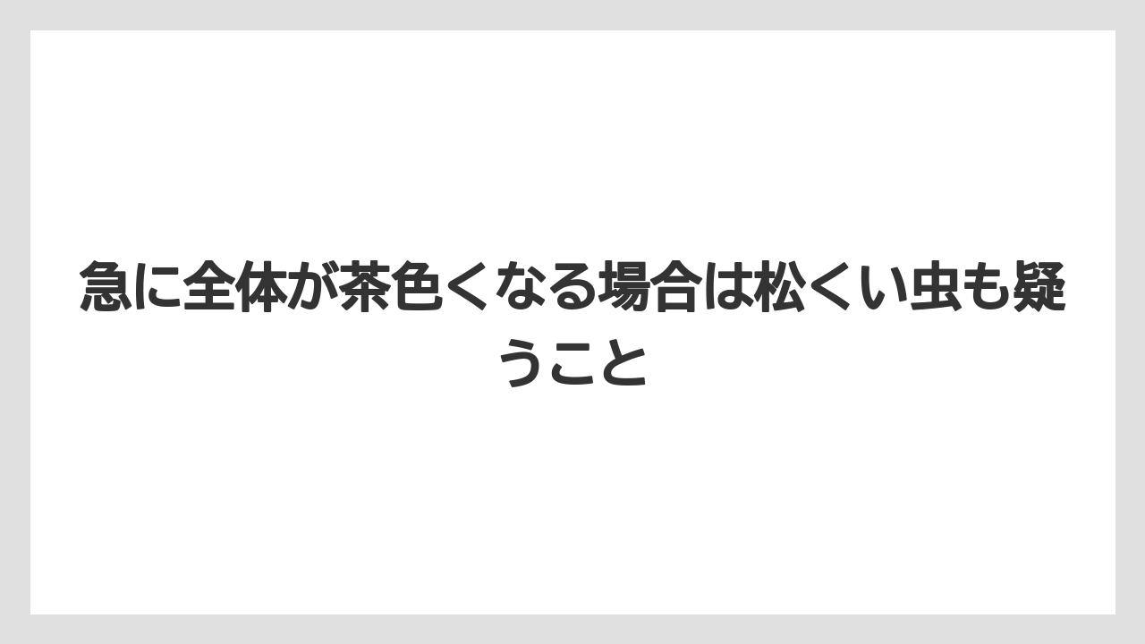 【枯れ】【栽培】【農業】急に全体が茶色くなる場合は松くい虫も疑うこと