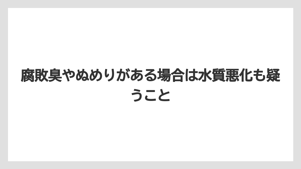 【まりも】【バラ】【栽培】腐敗臭やぬめりがある場合は水質悪化も疑うこと