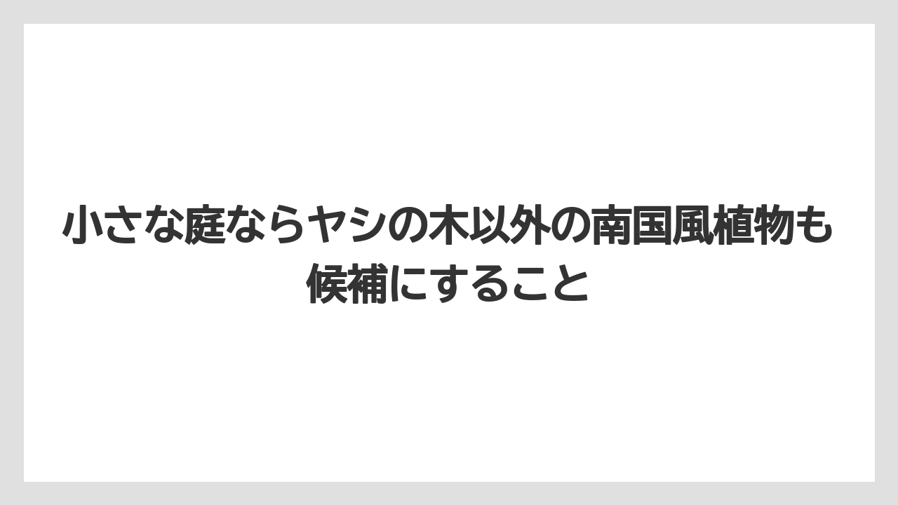 【庭】【後悔】【木】【栽培】【植え】小さな庭ならヤシの木以外の南国風植物も候補にすること