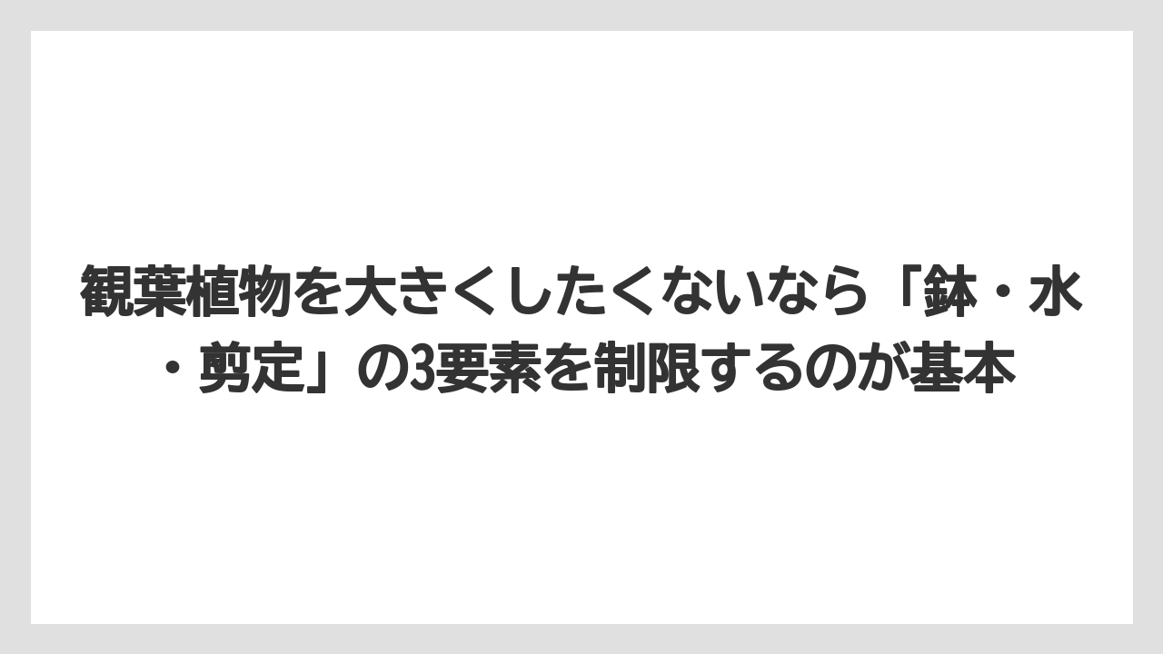 【栽培】【植物】【観葉】【鉢】観葉植物を大きくしたくないなら「鉢・水・剪定」の3要素を制限するのが基本