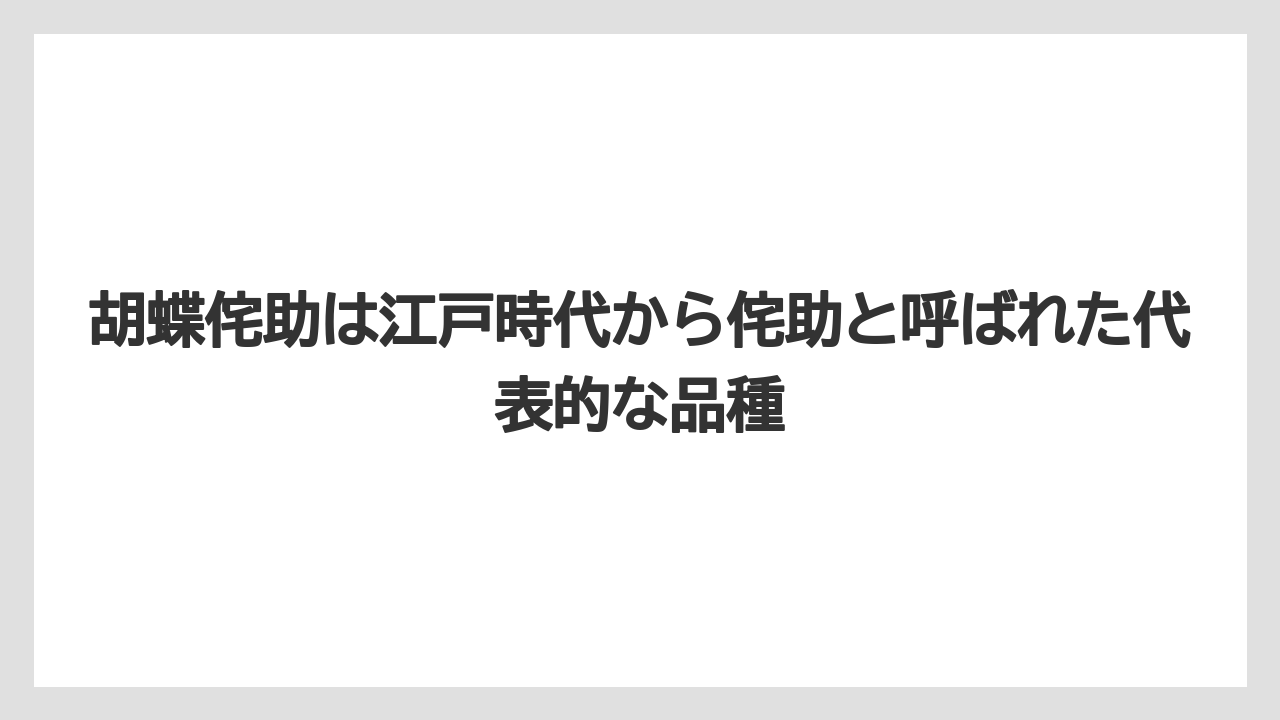 【栽培】【農園】【農業】胡蝶侘助は江戸時代から侘助と呼ばれた代表的な品種