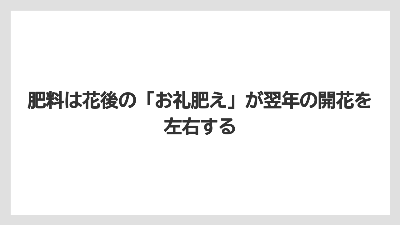【栽培】【農園】【農業】肥料は花後の「お礼肥え」が翌年の開花を左右する