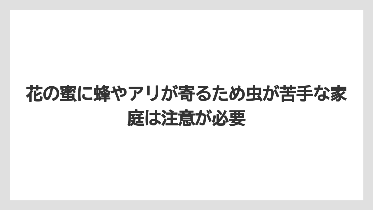 【栽培】【農園】【農業】花の蜜に蜂やアリが寄るため虫が苦手な家庭は注意が必要