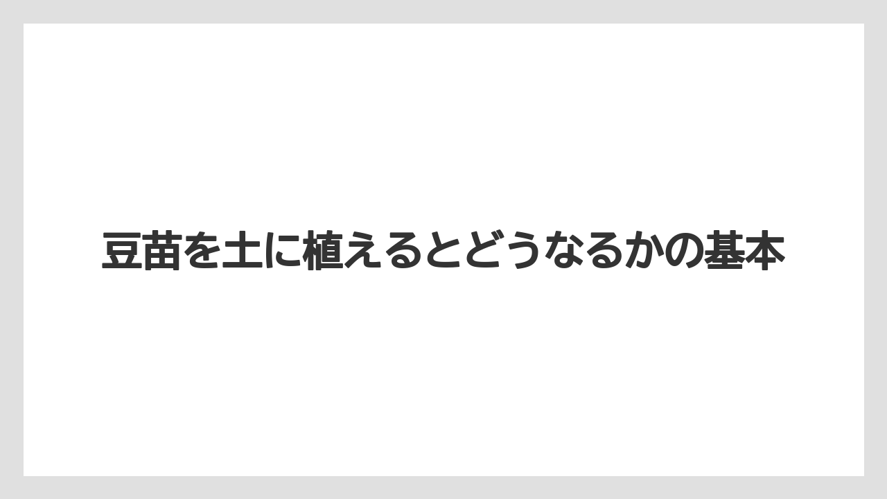 豆苗を土に植えるとどうなるかの基本