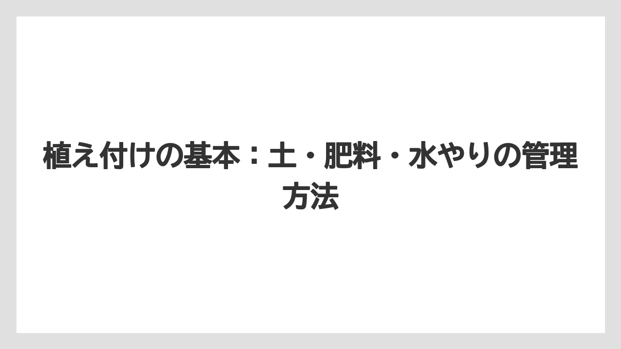 【栽培】【農園】【農業】植え付けの基本:土・肥料・水やりの管理方法