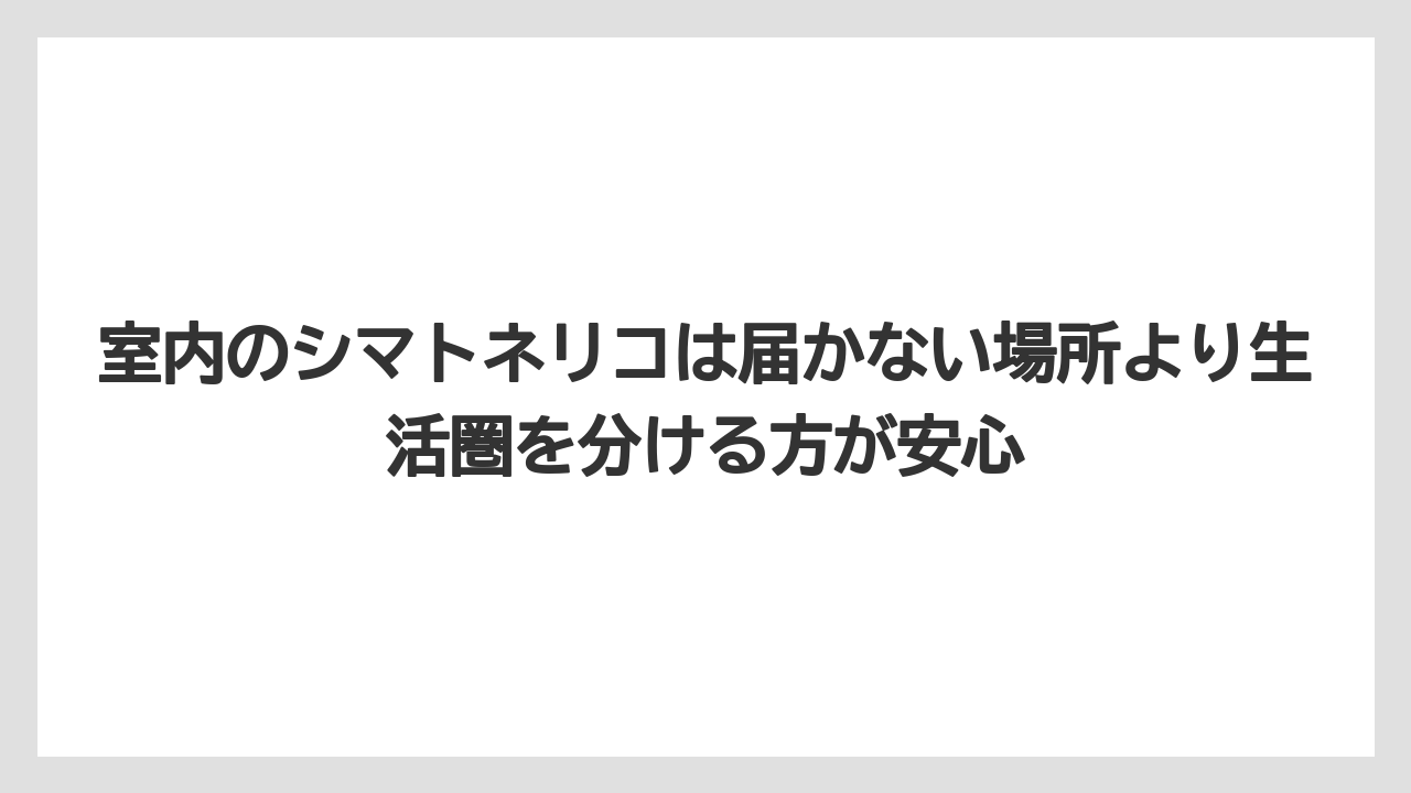 【しそ】【モンステラ】【栽培】【猫】【猫草】室内のシマトネリコは届かない場所より生活圏を分ける方が安心